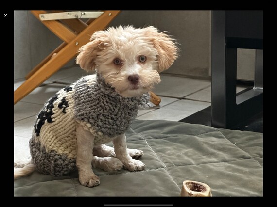 Off white dog sweater hotsell
