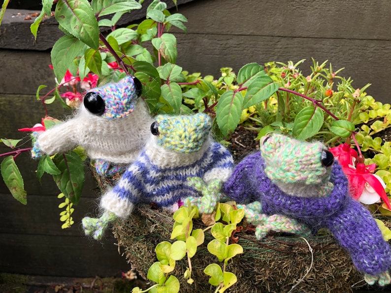 little knitted frog green, or blue-green, or olive or purple image 7