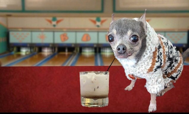 big lebowski dog sweater