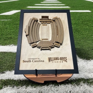 Framed 3d laser cut stadium