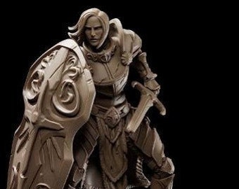 female human paladin dnd