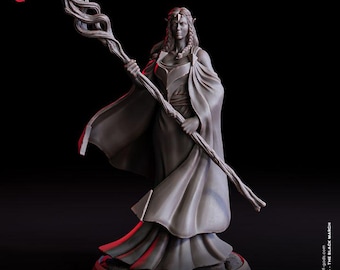 Elyra, Elf Wizard Female / dnd unpainted mini