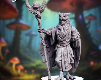 Owlfolk Spellcaster with staff