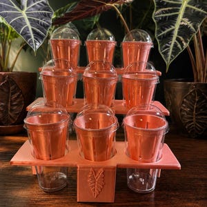 9 slot Corm Cup Tiered Holder / Steps  and matching cups