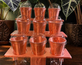 9 slot Corm Cup Tiered Holder / Steps  and matching cups