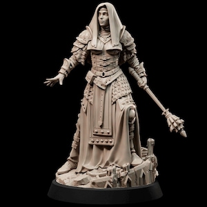 May include: A detailed miniature figurine of a female figure wearing a hooded robe and chainmail armor, holding a staff with a decorative top. The figure is standing on a rocky base.
