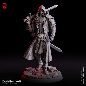 May include: A detailed figurine of Vaesel, the Silent Herald, a character from Hollow Thrones. The figure is clad in a hooded cloak and armor, holding two swords. The base is 25 mm. The color is a muted grey.