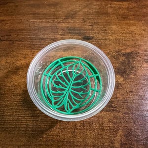 May include: A clear, circular plastic container holding a green, 3D-printed insert featuring a detailed, stylised leaf design with a central vein and radiating branches, positioned flat at the bottom of the container.