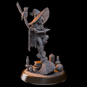 May include: A gray figurine of a witch reading a book, perched atop a broom. An owl sits on a branch above her. The witch wears a hat and cloak, with bottles and books at her feet. The figurine is on a wooden base.