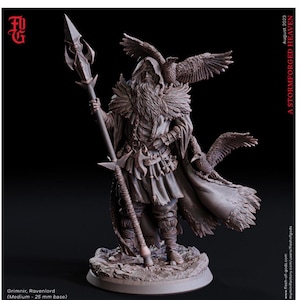 Male Human Nordic Sorcerer / wizard / dnd unpainted