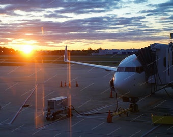 The Early Flight - Photography print