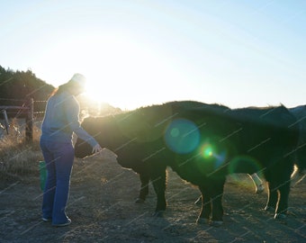 The Cattle Herder - Photography Print