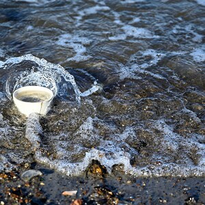 May include: A white ceramic cup sits in the shallow water of a beach, surrounded by foamy waves.