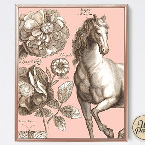 Horse Art Print - Equestrian Art Print - Home Decor - Mystical - Animal Art - Spirit Animal - Nature Art - Wild Palms