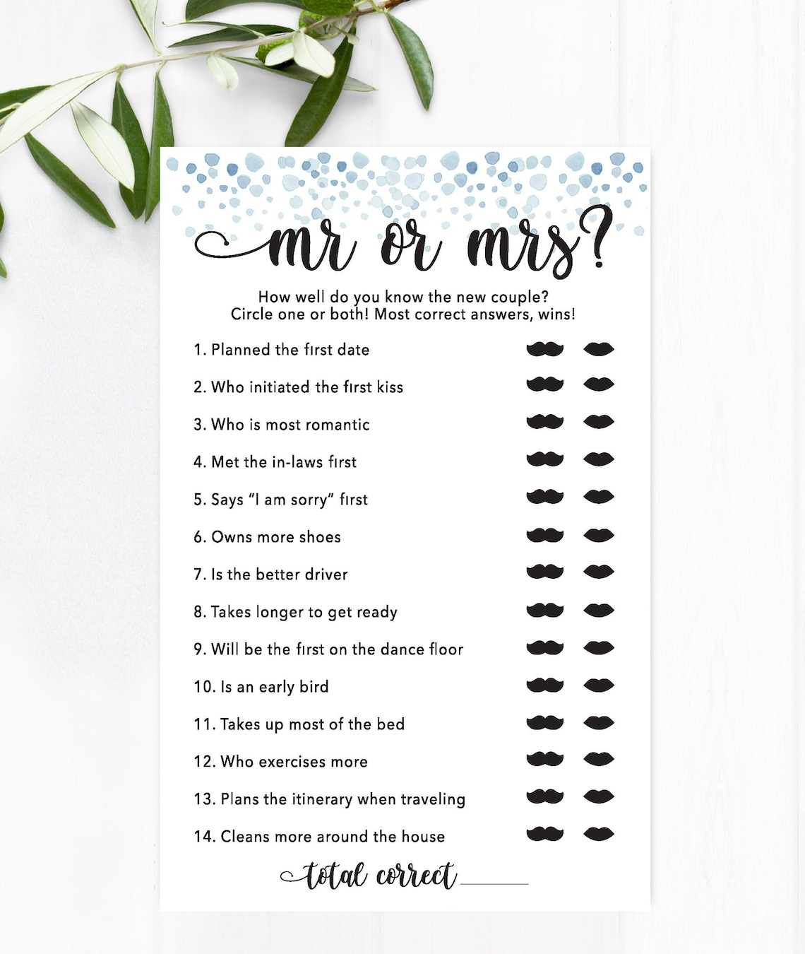 Mr and Mrs Game Bride or Groom Game Bridal Shower Games Winter Bridal