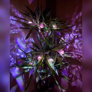 StringGeo || Geometric LED shadow string lights