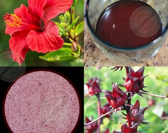 Hibiscus Lemonade Mix