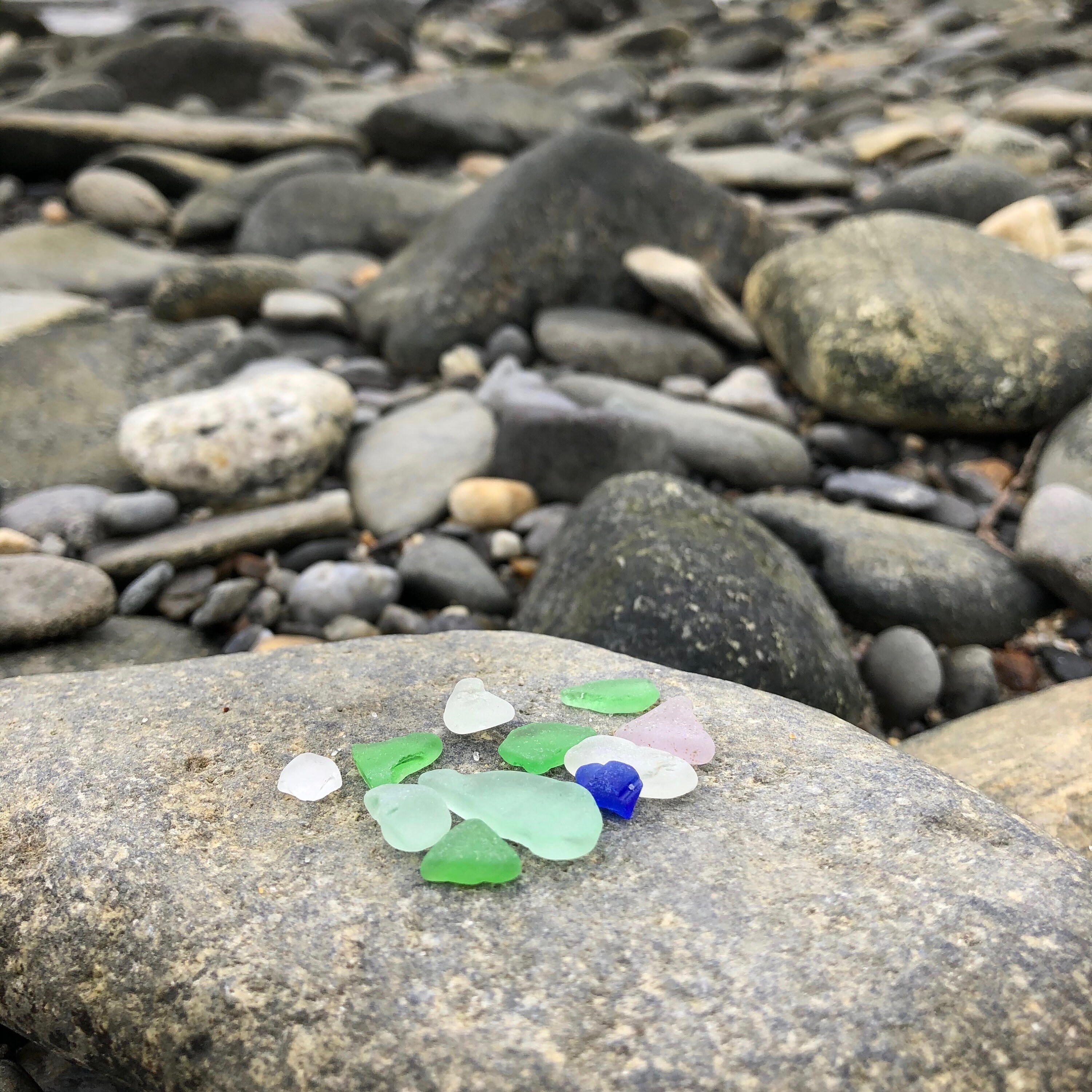 Maine Sea Glass Tree Maine Framed Art Maine Sea Glass Art Etsy