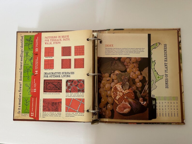 May include: Open vintage gardening book with colorful illustrations. Pages show patterns for brick patios, imaginative surfaces, and an index with a still-life photograph of grapes and figs. Tabs mark sections on plant identification and hardiness zones.