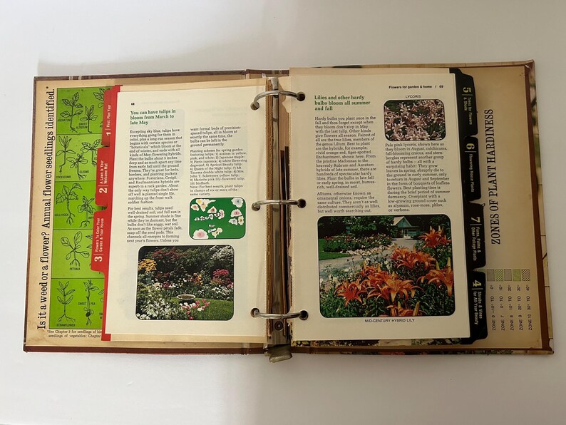 May include: Open vintage binder with pages about gardening. The left page has a green chart with text: "Is it a weed or a flower? Annual flower seedlings identified." The right page has text and photos about lilies and plant hardiness.