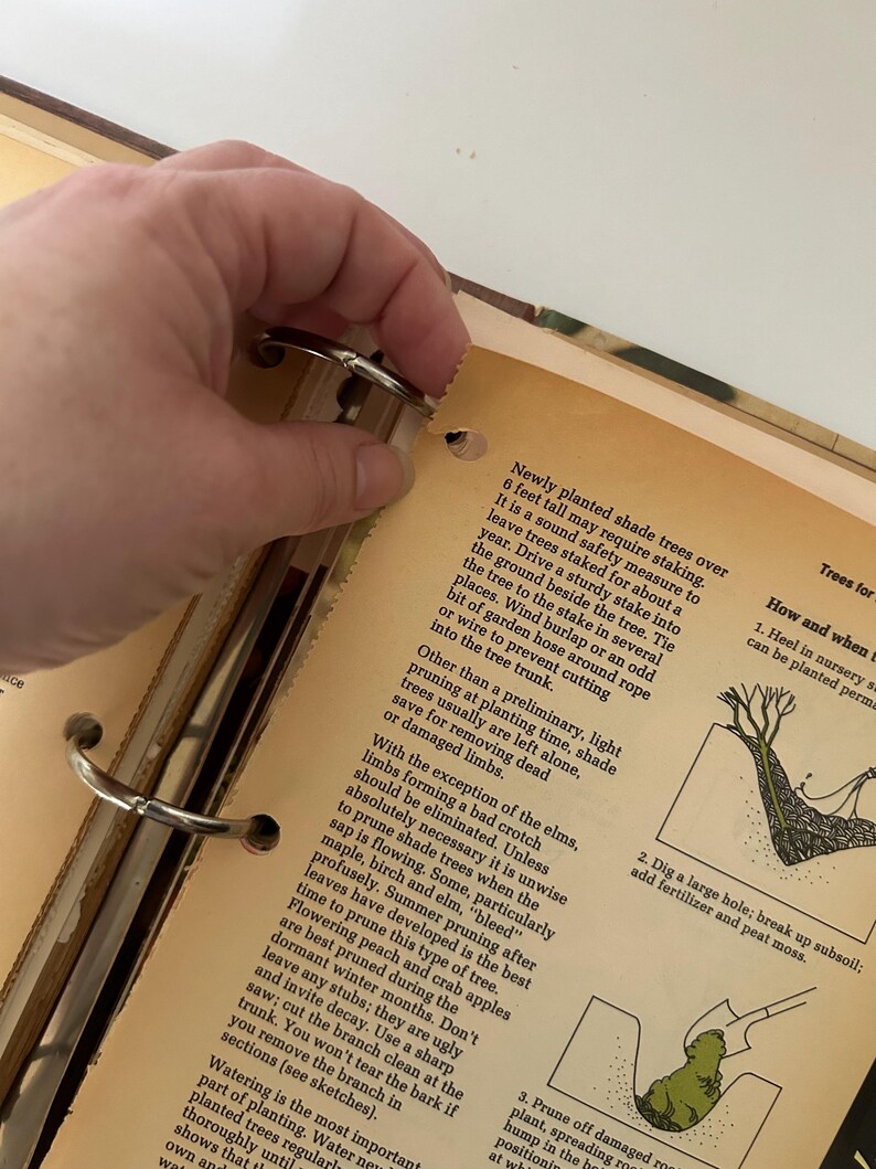 May include: Open vintage book with text about planting and pruning trees. The book is open to a page with text and illustrations. A hand is holding the metal rings of the binder.