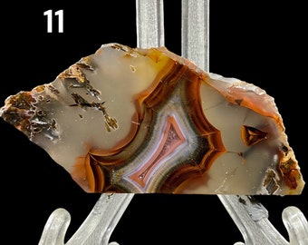 RESERVED FOR P, Agate Lapidary Material