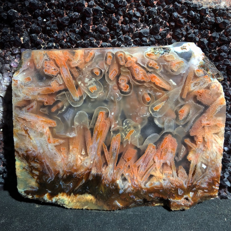 Turkish Ultra Rare Orange Stick Agate Slice