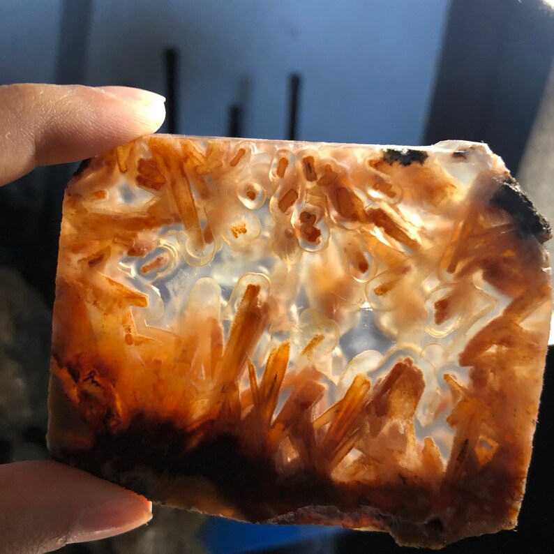 Turkish Ultra Rare Orange Stick Agate Slice