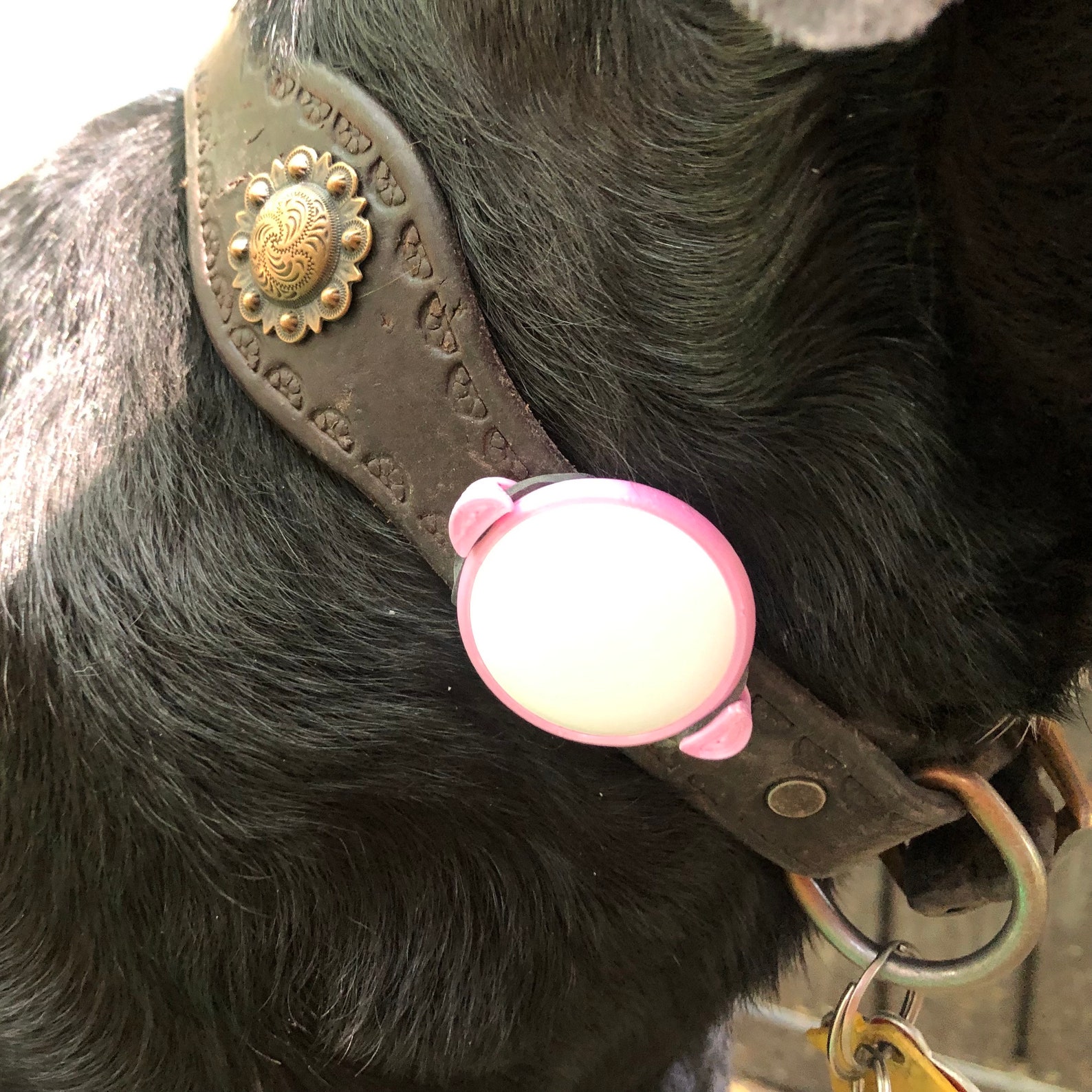 Airtag Case for Dog Collar or Strap. Etsy