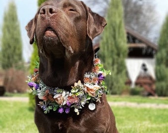 Customizable Pet Flower Collar | Faux Floral Dog & Cat Wedding Accessories