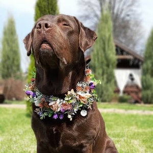 Customizable Pet Flower Collar | Faux Floral Dog & Cat Wedding Accessories