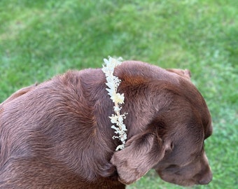 Accesorio para collar de aliento de perro bebé, bodas, cumpleaños, cachorros, perros, perro niña de flores