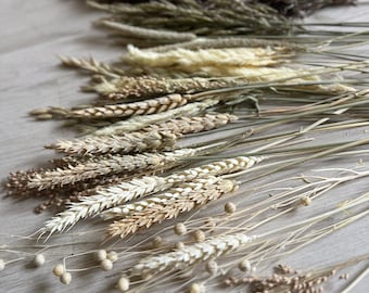 乾燥した天然小麦の茎 30 個のミックス パンパス グラスとオーツ麦の茎 乾燥草/ドライフラワー/素朴な室内装飾オーツ麦の茎