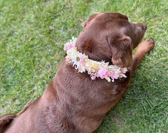 Chica de collar de perro rosa rosa, collares de perro lindos, collar de perro de peonía, collar de perro de flores, collar de perro de niña personalizado