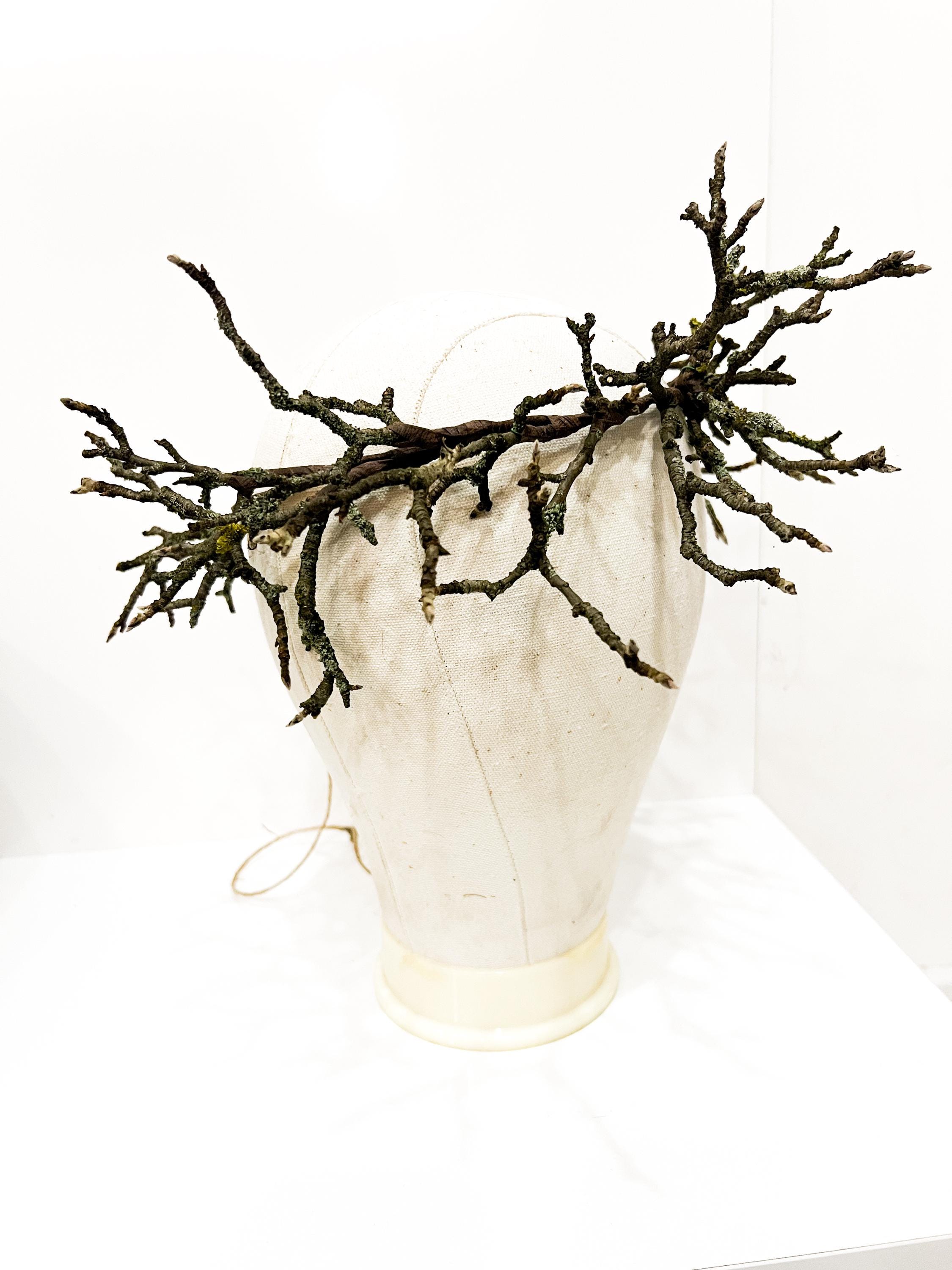Woodland twig crown, rustic bridal branch crown, natural tree branch headpiece, forest wedding crown, nature-inspired twig tiara, woodland