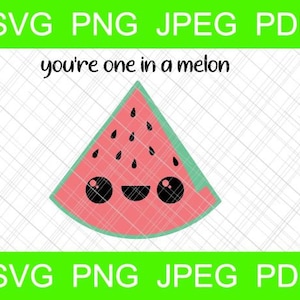 je bent een in een meloen gelaagde svg cut bestand cricut silhouet watermeloen ijzer op vinyl shirt tote mok beker tumbler grappige valentijn zomer kind