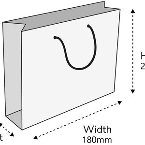May include: A white paper shopping bag with a black handle. The bag is labeled "Small" and has dimensions of 8 inches wide, 9.5 inches tall, and 3.1 inches deep.
