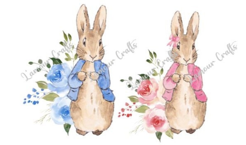 May include: Two watercolour illustrations of bunnies wearing jackets. The bunny on the left is wearing a blue jacket and is surrounded by blue flowers. The bunny on the right is wearing a pink jacket and is surrounded by pink flowers.
