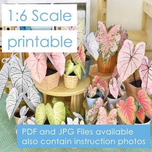 Dolls 7 different miniature plants 1/6 decoration in 3 sizes for dolls like Blythe, BJD diorama and dollhouse