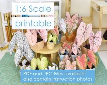 Dolls 7 different miniature plants 1/6 decoration in 3 sizes for dolls like Blythe, BJD diorama and dollhouse