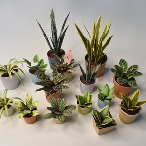 15 plantes miniatures différentes pour poupées, diorama et décoration maison de poupée 1/12, modèle imprimable image 4