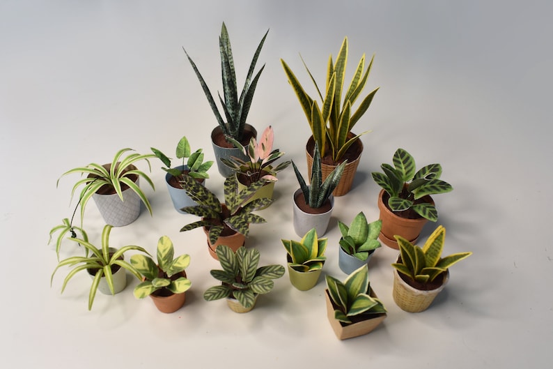 15 plantes miniatures différentes pour poupées, diorama et décoration maison de poupée 1/12, modèle imprimable image 4
