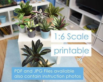 9 plantas en miniatura diferentes para muñecas de moda, diorama y casa de muñecas plantilla imprimible 1/6 decoración