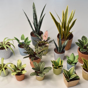 15 plantes miniatures différentes pour poupées, diorama et décoration maison de poupée 1/12, modèle imprimable image 5