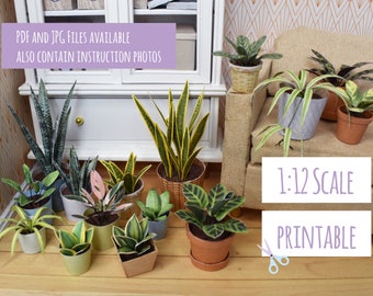 15 plantas en miniatura diferentes para muñecas, diorama y casa de muñecas decoración 1/12, plantilla imprimible