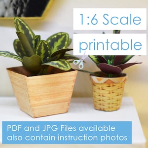 Doll miniature printable plant pot 35 different 1/6 digital download for dollhouse and diorama