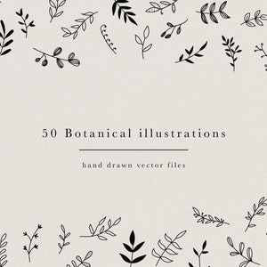 50 elementi botanici disegnati a mano, kit di design floreale per la progettazione di loghi o cancelleria, clip art di foglie, rametti, rami, download immediato, kit di branding