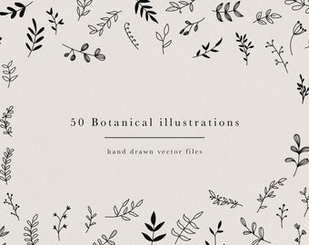 50 Hand Drawn Botanical Element, Floral Design Kit for Logo Design or Stationary, Leaf Twig Branch Clip Art Instant Download, Branding Kit