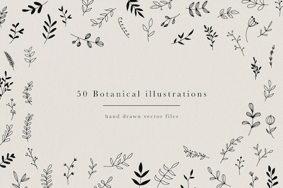 Download 50 Hand Drawn Botanical Element Floral Design Kit For Logo Etsy