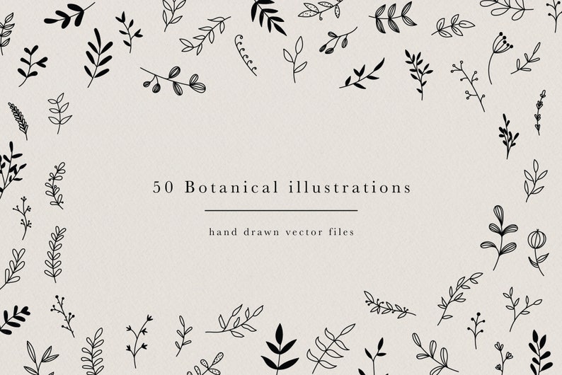 50 Hand Drawn Botanical Element, Floral Design Kit for Logo Design or Stationary, Leaf Twig Branch Clip Art Instant Download, Branding Kit image 1